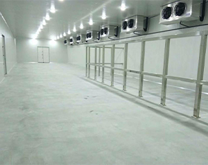 自動(dòng)立體化冷庫(智能冷藏庫)建造設(shè)計(jì)方案