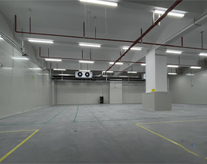 建200噸氣調(diào)庫(kù)多少錢?存放葡萄、獼猴桃