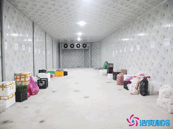 標準化冷庫建設(shè)多少錢