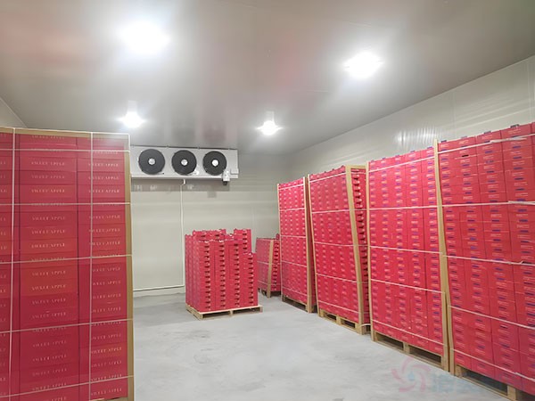 冷藏庫(kù)安裝費(fèi)用