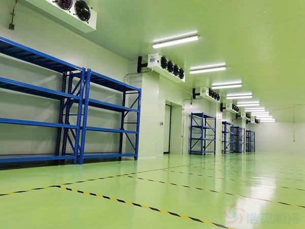 大型GMP冷庫建設(shè)造價