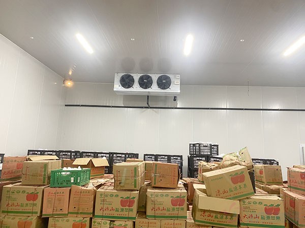 水果冷庫存儲溫度,建造水果保鮮冷庫造價