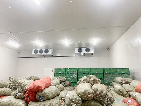 影響蔬菜保鮮冷庫建造價格的因素有哪些？