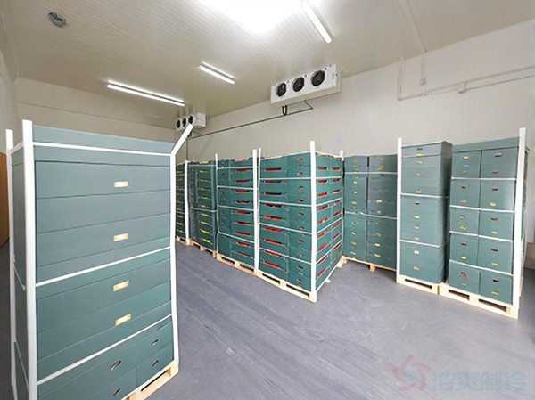 冷藏保鮮庫建設要求標準規(guī)范及造價預算