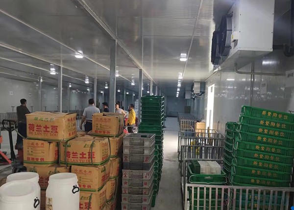 2000平米土豆冷庫竟要200多萬？揭秘氣調(diào)保鮮庫天價背后！
