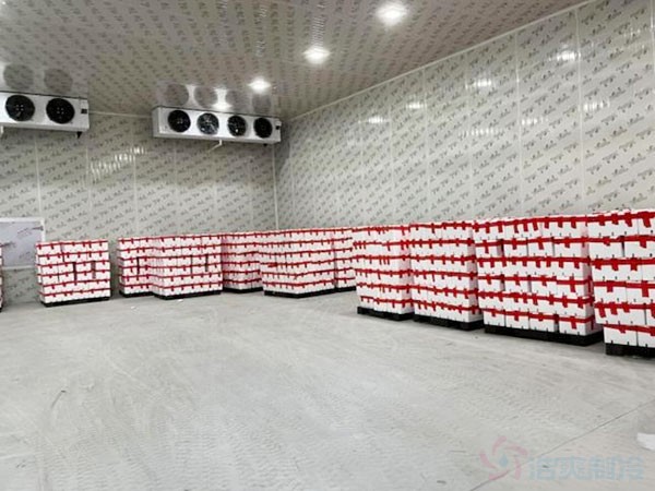 100噸水果保鮮冷庫造價預算大概多少錢？