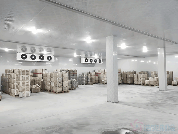 蘑菇種植園冷庫建造面積及造價費(fèi)用