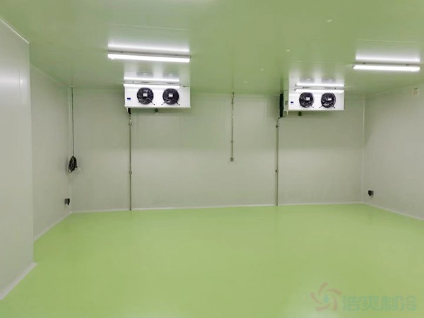 -20度的RNR疫苗冷庫(kù)儲(chǔ)存要求及配置標(biāo)準(zhǔn)