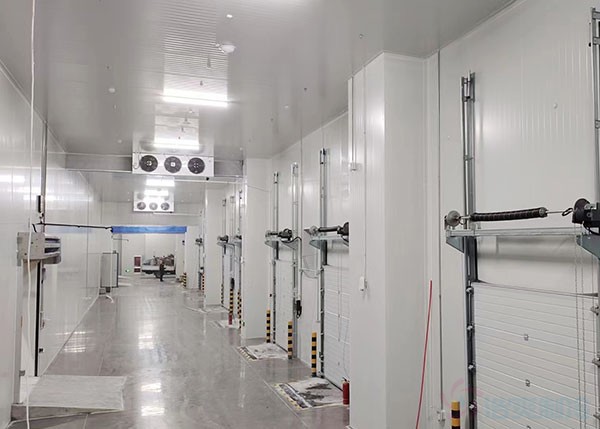 500平米冷庫建造成本