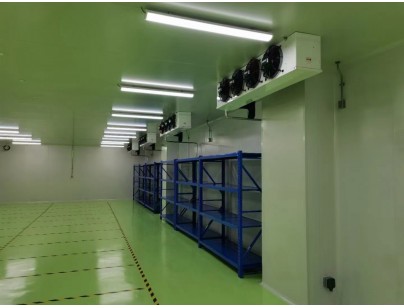 成都康諾亞一橋生物科技公司創(chuàng)新醫(yī)藥冷庫建設工程案例