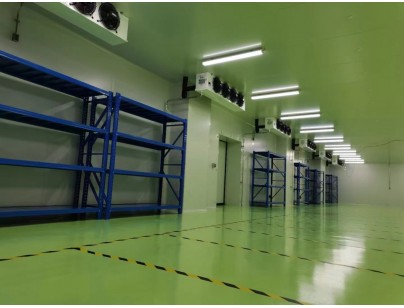 成都康諾亞一橋生物科技公司創(chuàng)新醫(yī)藥冷庫建設工程案例