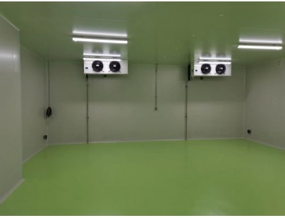 成都康諾亞一橋生物科技公司創(chuàng)新醫(yī)藥冷庫建設工程案例