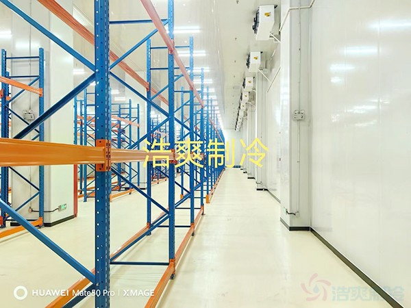 河北2-8℃醫(yī)藥標準冷庫設(shè)計多少錢？