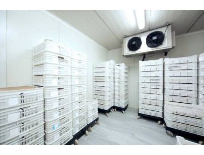 浙江仙居股份經(jīng)濟(jì)合作社羊肚菌氣調(diào)保鮮冷庫建造工程案