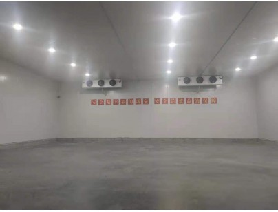 新疆伊寧78525m3保稅區(qū)冷鏈物流園大型冷庫(kù)建造工程