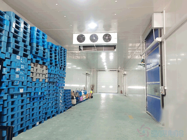 萬(wàn)噸冷庫(kù)造價(jià)