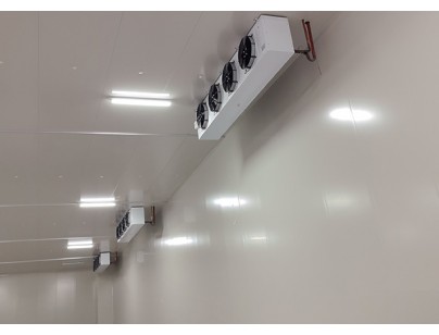 安徽翔威供應鏈14500m3保稅區(qū)冷鏈物流冷庫工程建造案例