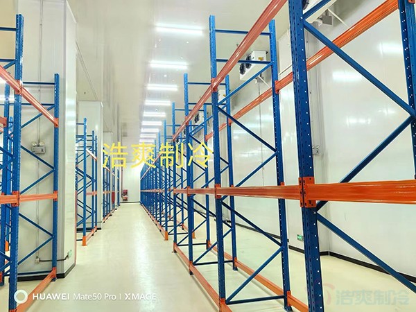 診斷試劑冷庫建造