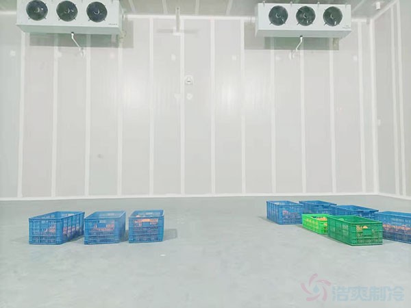 冷庫存雞蛋溫度多少度合適