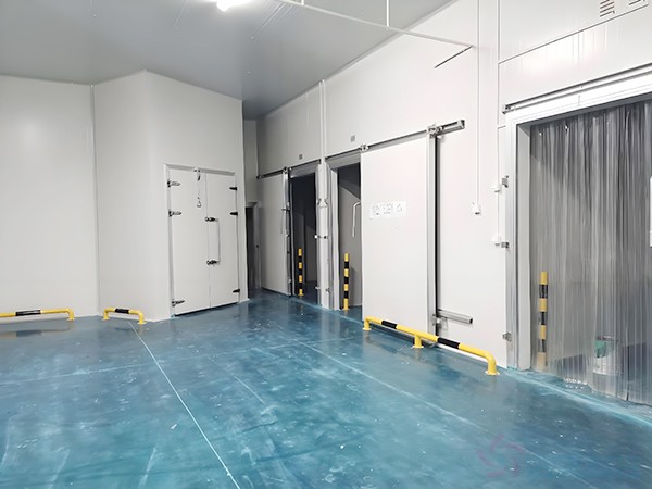 上海冷庫造價(jià)