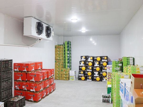 鮮花保鮮庫建造